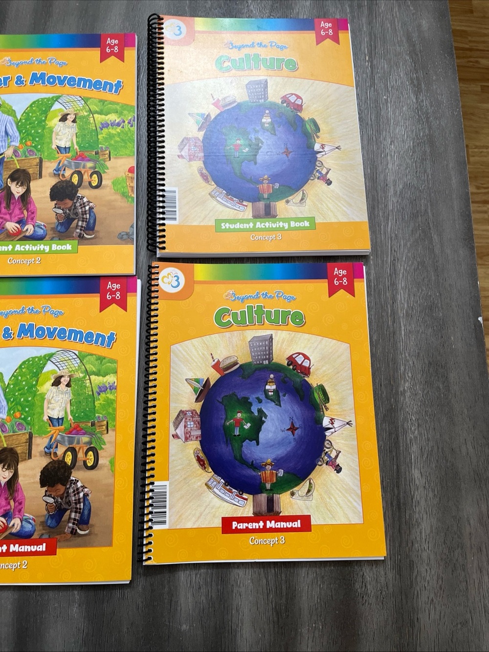 Moving Beyond The Page Homeschooling Curriculum (Set of 4) - Picture 8 of 8